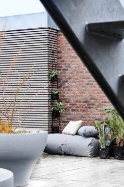 Mini Rocket Daybed 19 Mini Rocket Daybed -Furniture Discount Store 1011 5 2 Mini Rocket Grey02 377f0d84 0118 439e 91af af644f6722e3