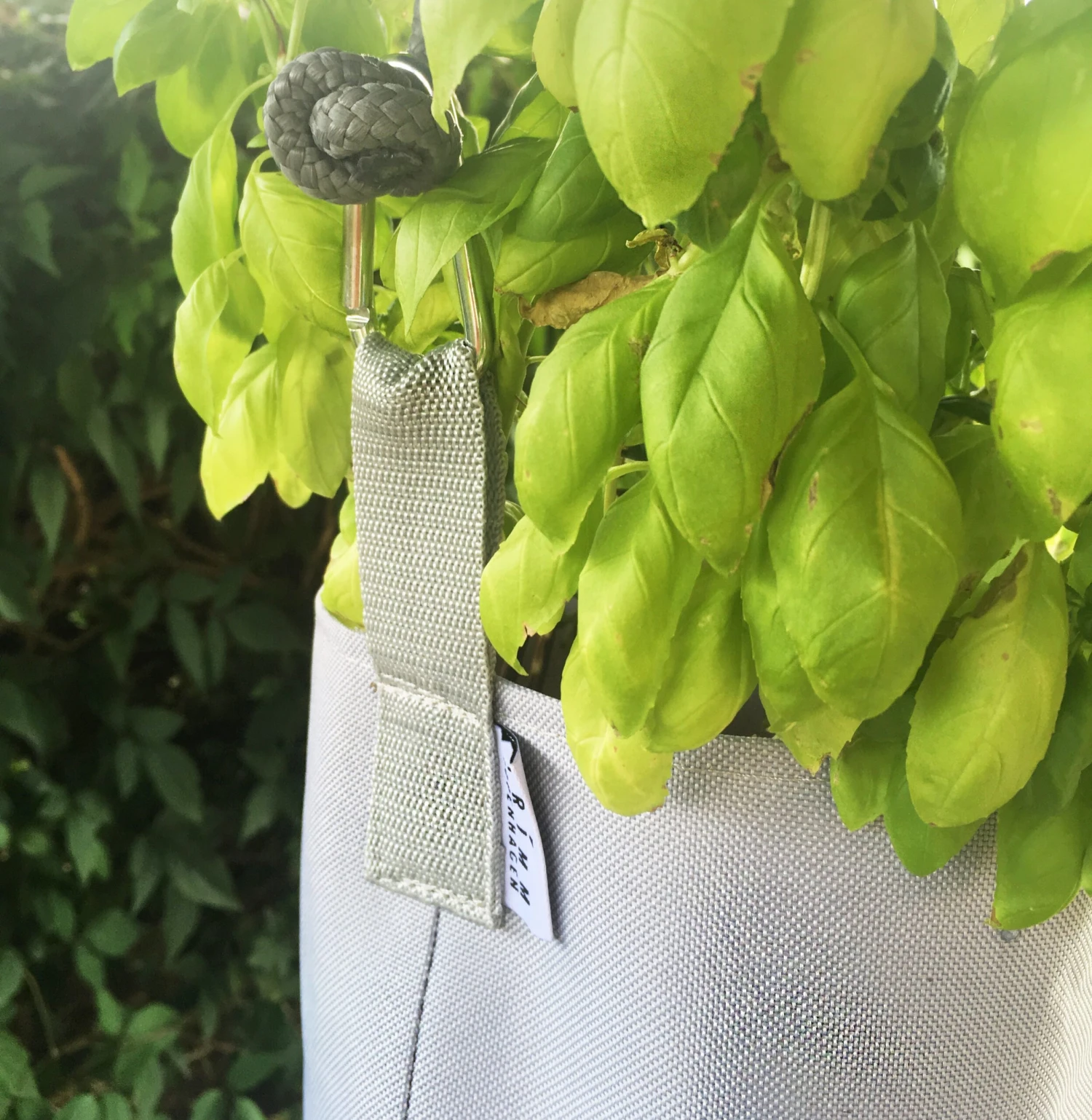 Single Flowerpot 5 Single Flowerpot - Image 5