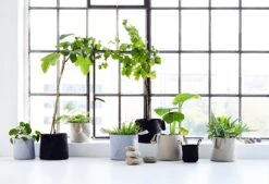 Soft Pots 11 Soft Pots -Furniture Discount Store Softpots beige grey black flowerpots black Kopi