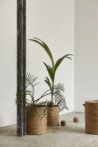 ROSS Flower Pots, Natural 3 ROSS Flower Pots, Natural - Image 3
